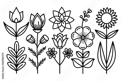 Black Outline Botanical & Flower Vector Illustration