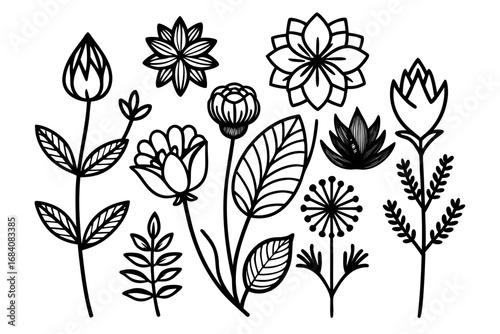 Black Outline Botanical & Flower Vector Illustration