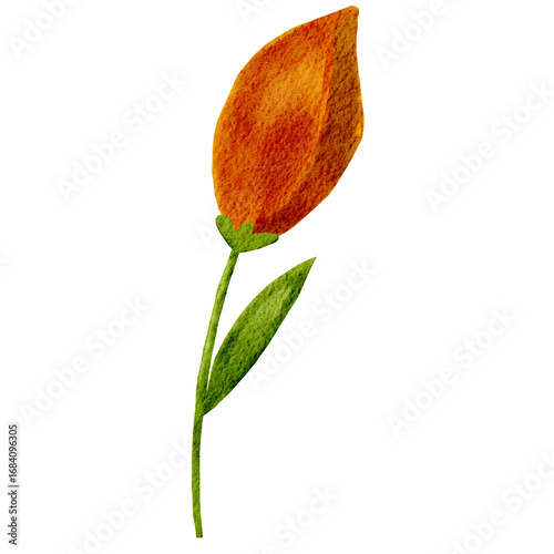 Orange Flower Bud