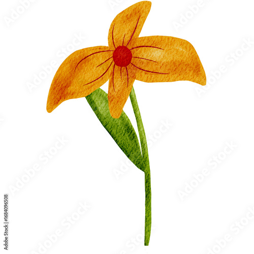 orange lily flower
