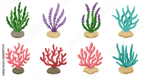 Colorful seaweed collection: eight unique marine plants on white background