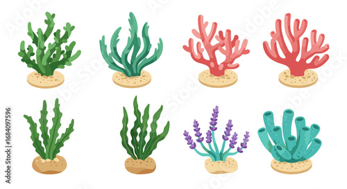 Colorful seaweed and coral collection on white background