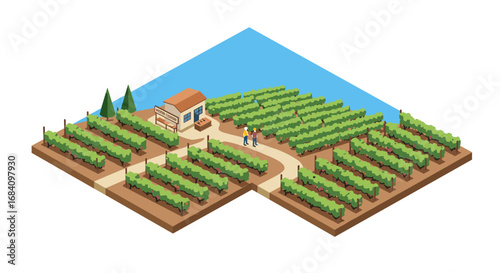 Isometric vineyard farm with workers and winery building