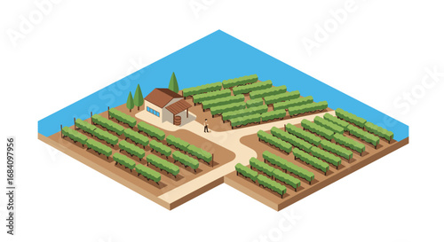 Isometric vineyard with farmhouse and green fields on a sunny day