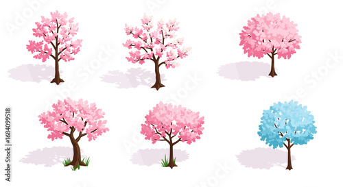 Isometric cherry blossoms and blue tree set on white background