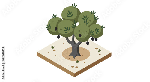 Isometric olive tree in minimalist design on square soil plot