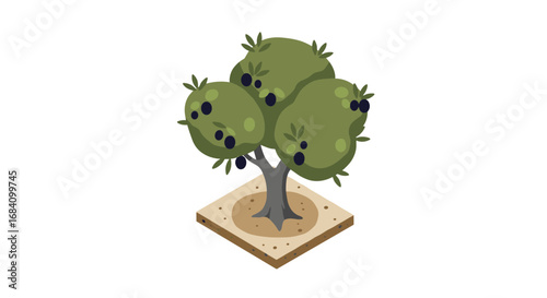 Isometric olive tree on soil patch with green leaves and black olives