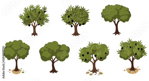 Diverse olive and oak trees collection in flat design