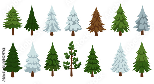 Diverse evergreen tree collection featuring pine, spruce, and fir variants