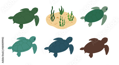 Colorful sea turtles and seaweed on sandy seafloor in flat design