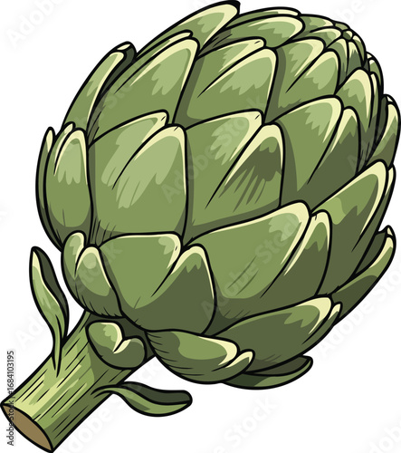 detailed illustration of a fresh artichoke green vegetable, culinary ingredient, healthy eating