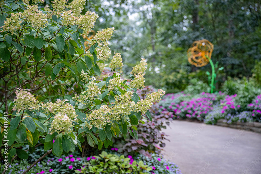 Fototapeta premium flower garden