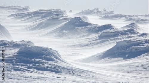 Arctic landscape, windswept snow hills