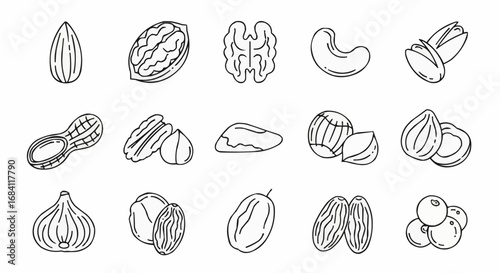 National date nut bread day september 8  outline drawing of assorted nuts and dried fruits for healthy snack food and vegan diet illustration 100 vector