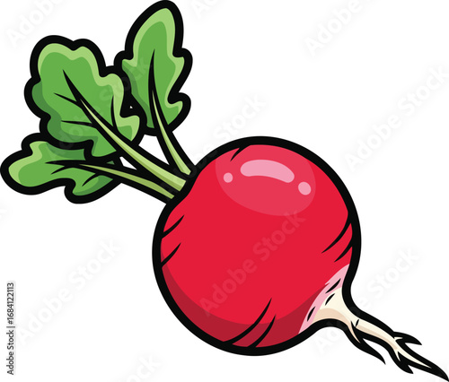 vibrant red radish with green leaves a fresh culinary illustration