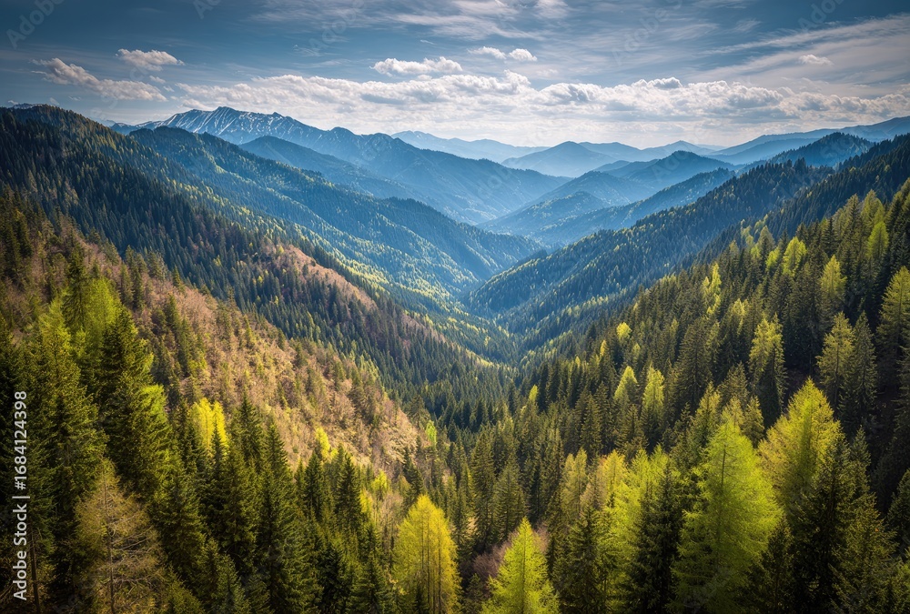 Obraz premium Mountain valley vista. Lush green forests and peaks