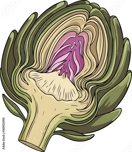 vibrant artichoke heart detailed crosssection illustration of a fresh vegetable