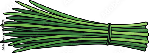 fresh chives bundle culinary herb illustration for recipes and cooking blogs