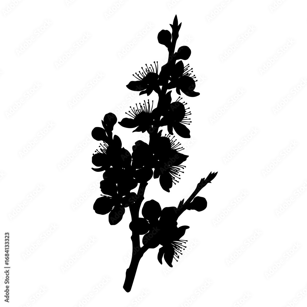 Naklejka premium Black silhouette of cherry blossoms on white background silhouette isolated on white background