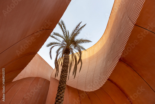 Palm tree in concrete structure in Masdar city, Abu Dhabi, UAE