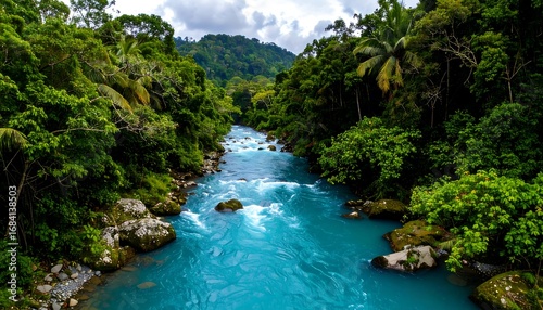 Turquoise river flowing through lush rainforest