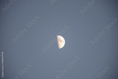 Fototapeta Naklejka Na Ścianę i Meble -  The Moon, visible in its half-lit (First or Last Quarter) phase, hangs alone in a pale blue/gray sky, likely captured during the day or twilight. A simple, clear image of a celestial body and astronom