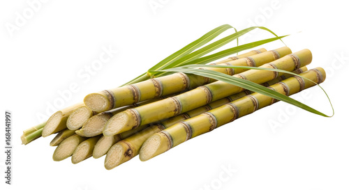 Bundle of fresh sugarcane stalks with green leaves isolated on transparent background