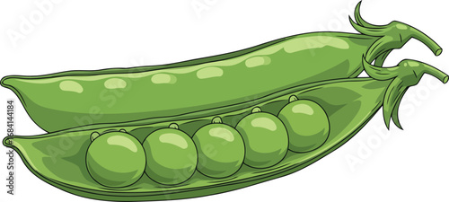 fresh green peas in pod vibrant illustration of garden vegetable