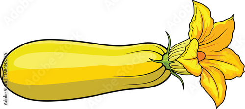 vibrant yellow squash with blossom fresh summer vegetable illustration