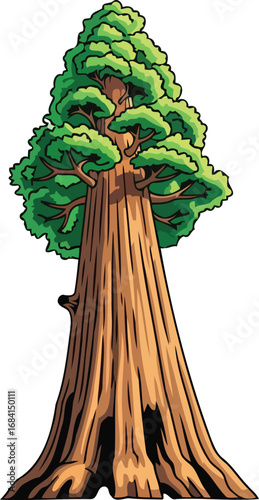 majestic redwood tree illustration gigantic nature drawing, california forest giant