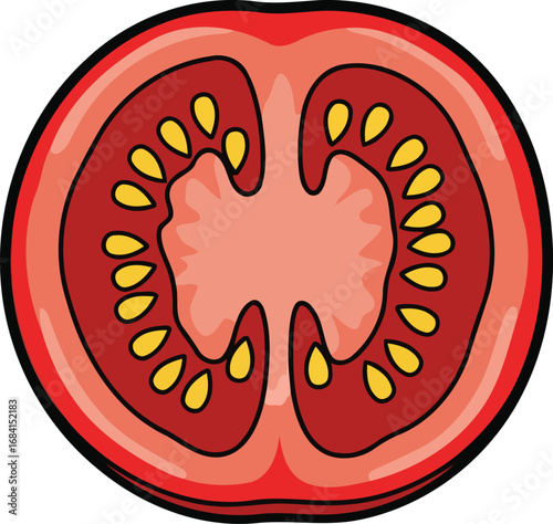 vibrant red tomato slice detailed illustration of juicy summer vegetable