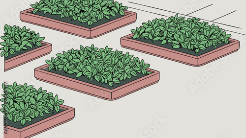 Rectangular Planters with Greenery Vector Illustration.