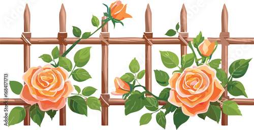 Garden Trellis with Climbing Roses Isolated in Vector Style