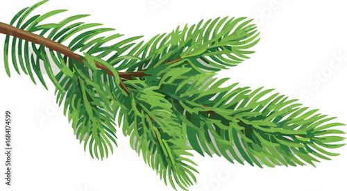 Isolated Pine Branch with Needles in Vector Style