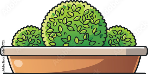 Round Topiary Bush in Decorative Planter