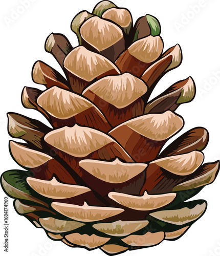 Single pinecone with detailed texture