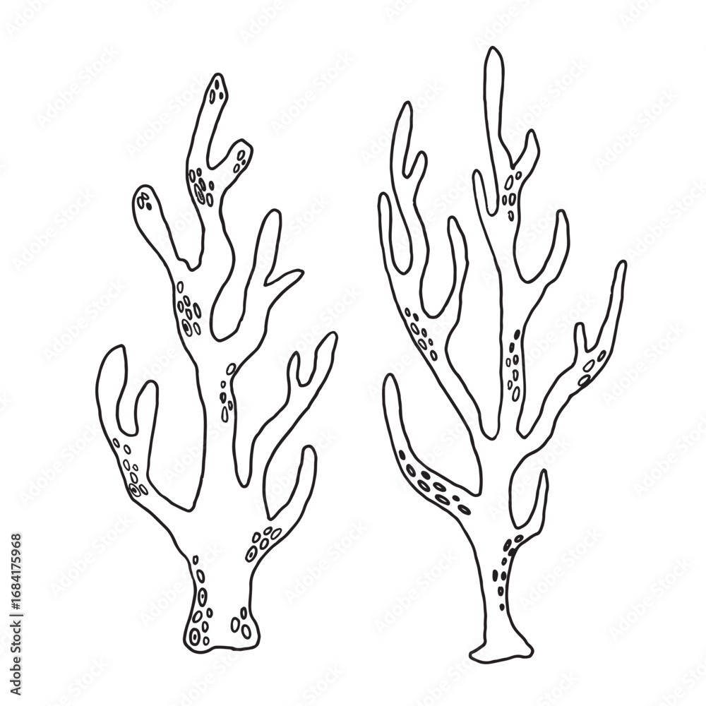 Fototapeta premium Stylized Illustrations of Coral Designs That Represent Various Aspects of Marine Life