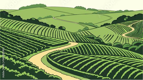 Terraced Green Fields and Winding Road.