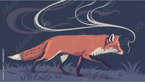 Red Fox Walking at Dusk Wild Animal Illustration Nature Art Graphic Vector.