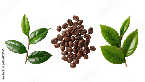 Coffee beans and tea leaves