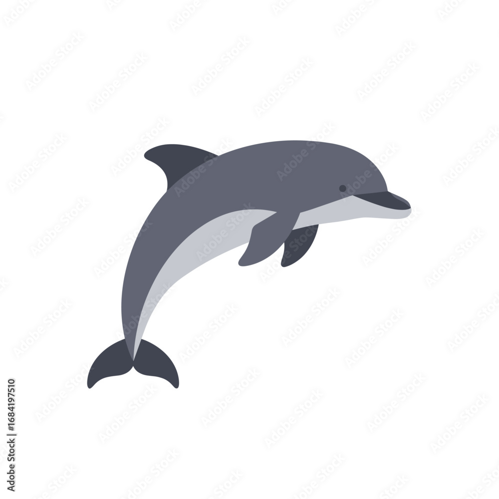 Fototapeta premium dolphin isolated on white background