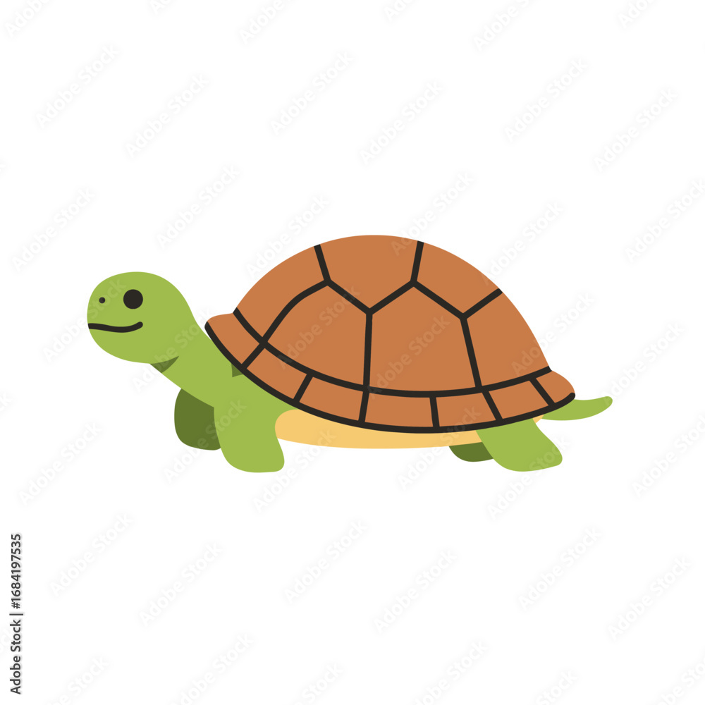 Obraz premium turtle