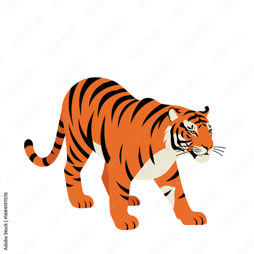 Fototapeta premium tiger on white background