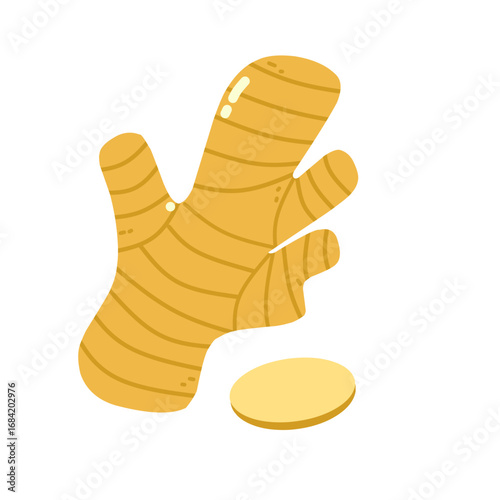 Flat Illustration of Fresh Turmeric Root
