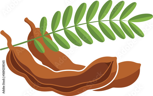 Tamarind fruit with green leaves a tropical food ingredient.