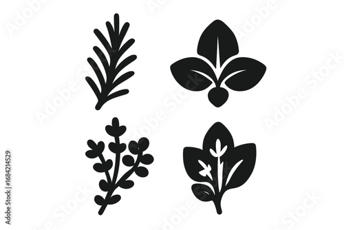 Herb icon collection. Solid glyph set of aromatic spices and culinary seasonings. Minimalist vector silhouettes of rosemary, basil, thyme, oregano, and sage for cooking.
