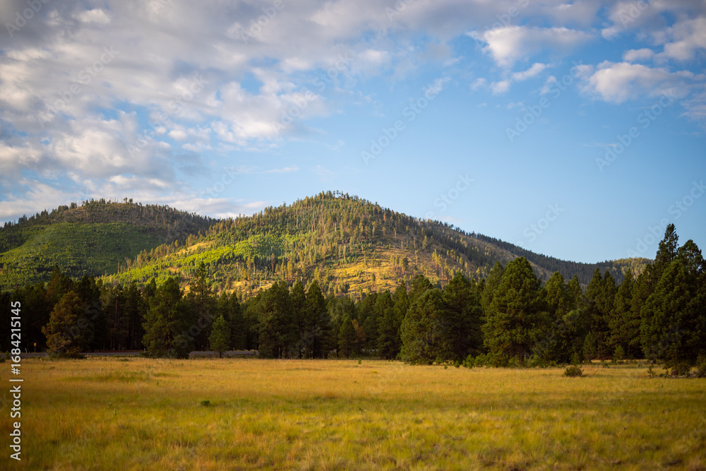 Fototapeta premium mountain landscape with blue sky in Flagstaff Forest