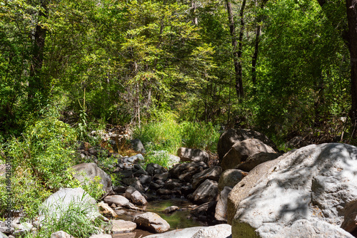 The river running through Sedona, surrounded by vibrant green grass.