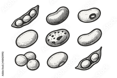 Hand drawn beans and legumes icon set. Vector sketch illustration of soy, kidney, pinto beans and peas. Engraved agricultural harvest for vegan and vegetarian food.