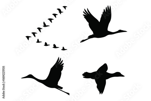 Bird migration silhouette icon set. Vector collection of a flying bird flock in V-formation, crane, stork, goose, and duck. Wildlife, nature, and freedom concept illustration.